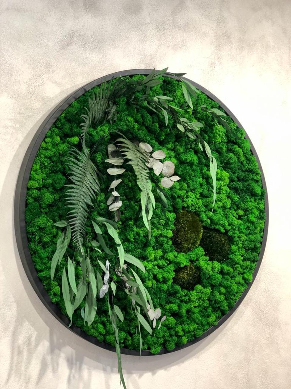 Фитодизайн