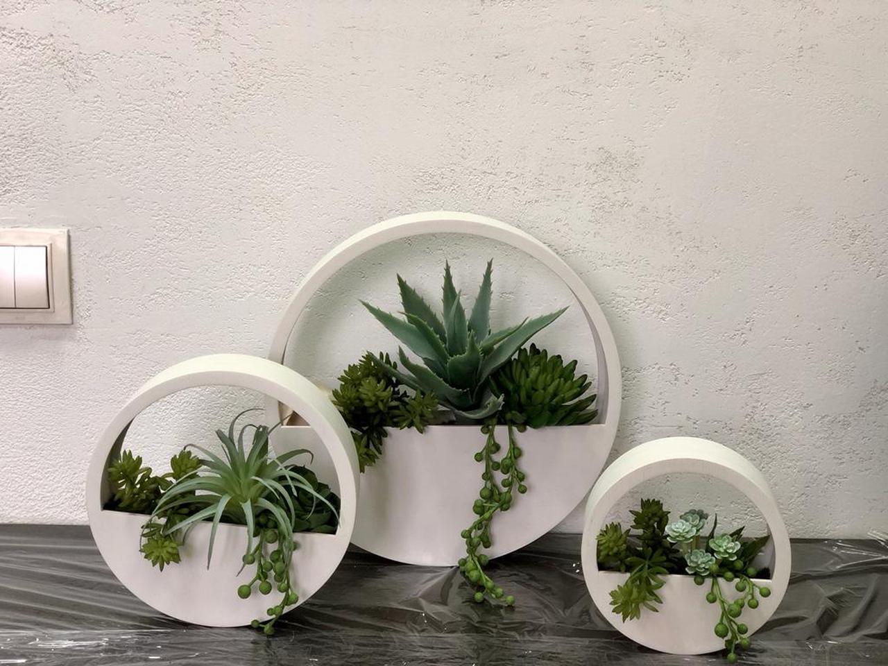 Фитодизайн