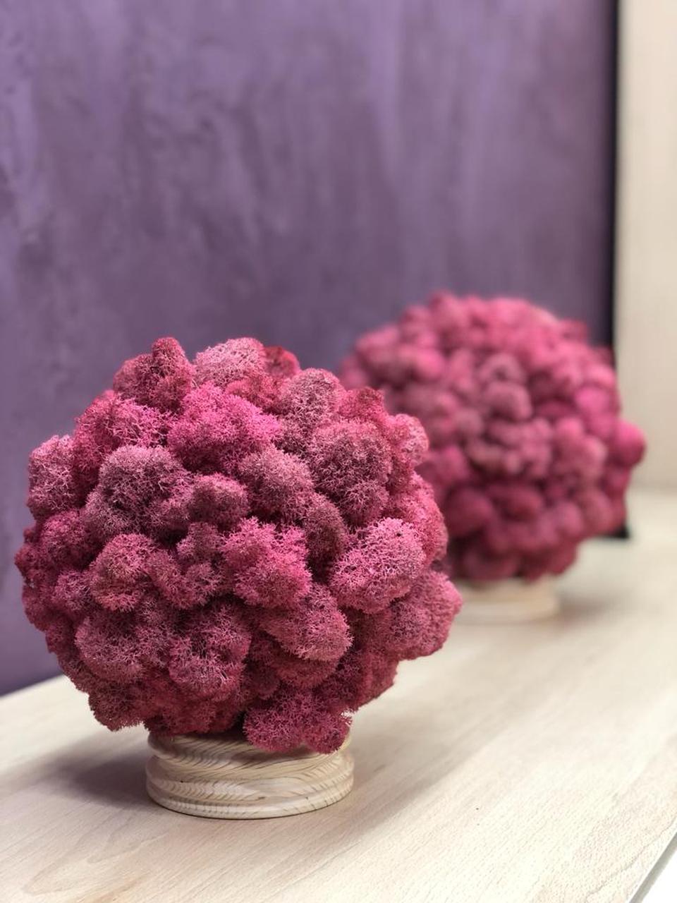 Офис в эко стиле