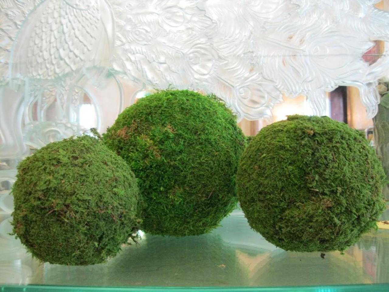 Офис в эко стиле