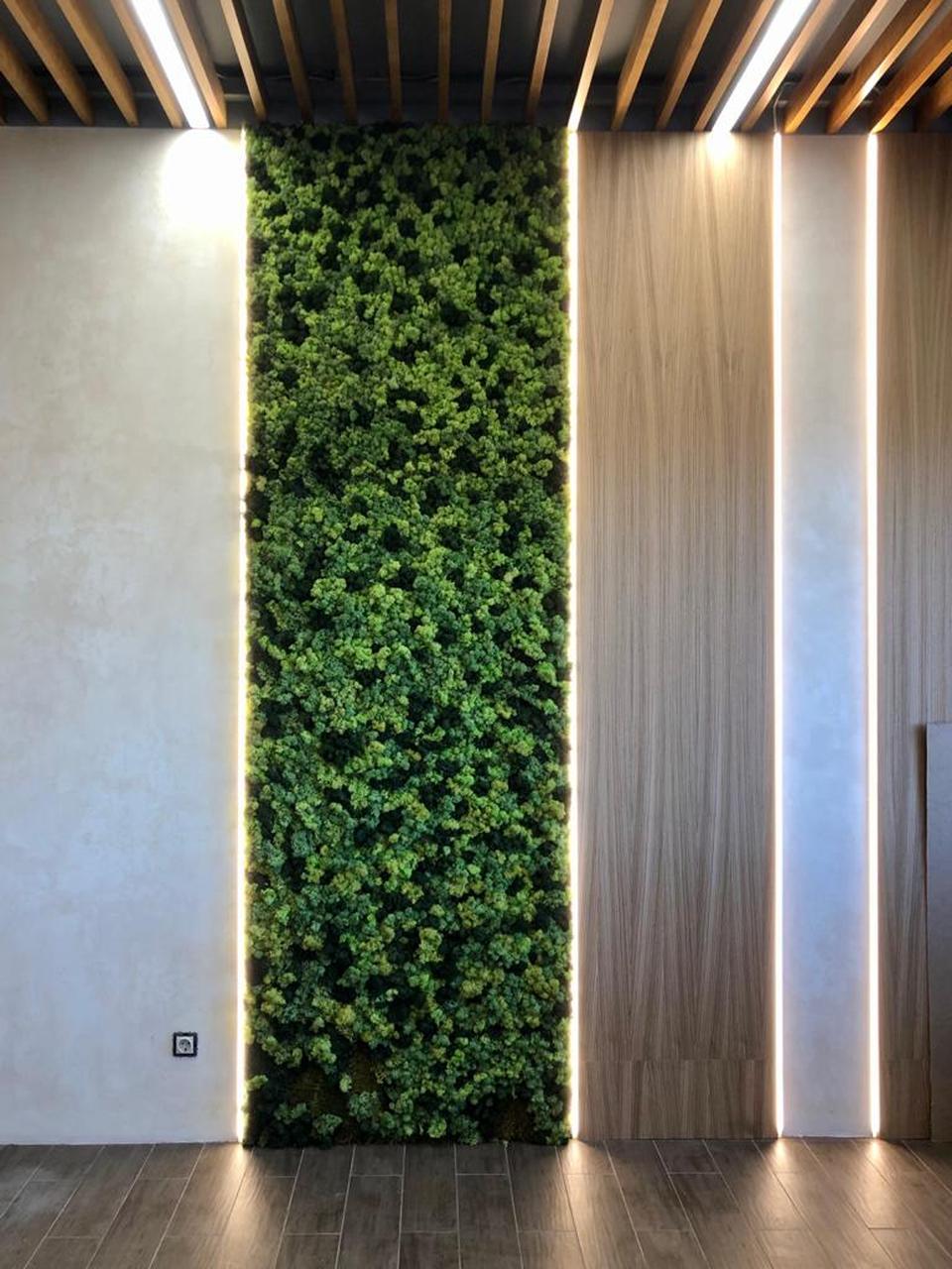 Офис в эко стиле