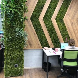 Фитодизайн